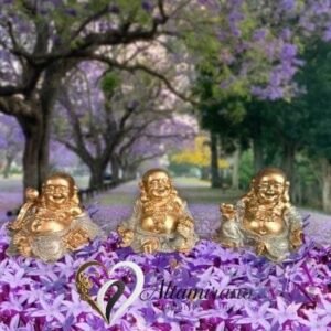 Imagen de WhatsApp 2025-07-08 a las 10.00.42_ef1873f6