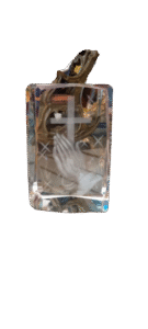 IMG_20250814_102423191_PORTRAIT